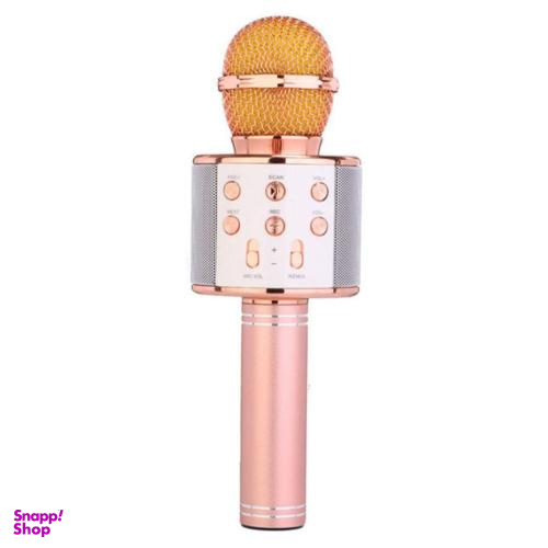 میکروفون اسپیکر وستر (Wster) مدل WS 858