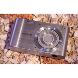 دوربین دیجیتال سونی (Sony) مدل Cyber-shot DSC-W800
