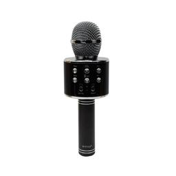 میکروفون اسپیکر وستر (Wester) مدل WS-858