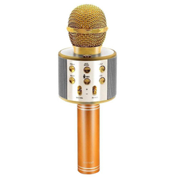 میکروفون اسپیکر وستر (Wester) مدل WS-858