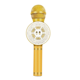 میکروفون اسپیکر وستر (Wester) مدل WS-669