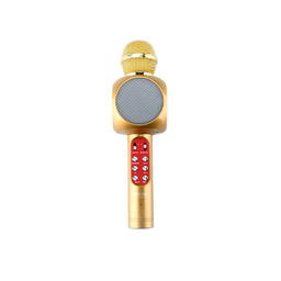 میکروفون اسپیکر وستر (Wester) مدل WS-1816