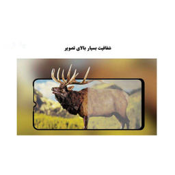 محافظ صفحه نمایش لاین (Lion) مدل RT007 مناسب موبایل هوآوی Nova 5 Pro