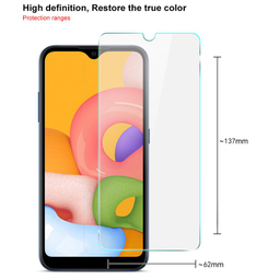 محافظ صفحه نمایش لاین (Lion) مدل RB007 مناسب موبایل سامسونگ Galaxy A01 بسته دو عددی