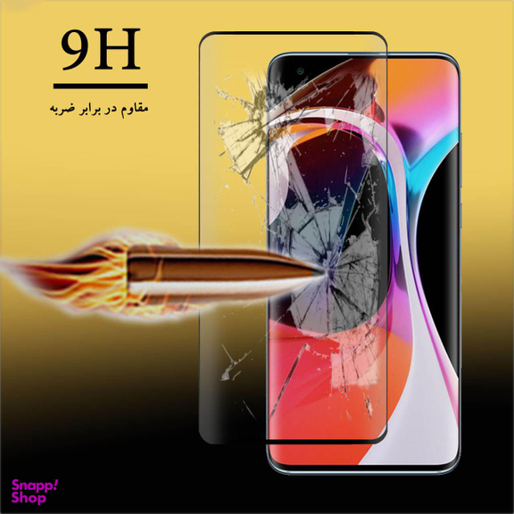 محافظ صفحه نمایش لاین (Lion) مدل RT007 مناسب موبایل شیایومی Mi 10