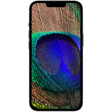 گوشی موبایل اپل مدل iPhone 13 Pro Max A2644 دو سیم‌ کارت ظرفیت 1 ترابایت و رم 6 گیگابایت (active)