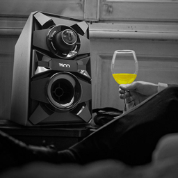 پخش کننده خانگی تسکو مدل TS 2182