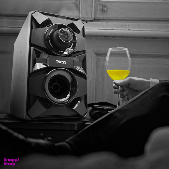 پخش کننده خانگی تسکو مدل TS 2182