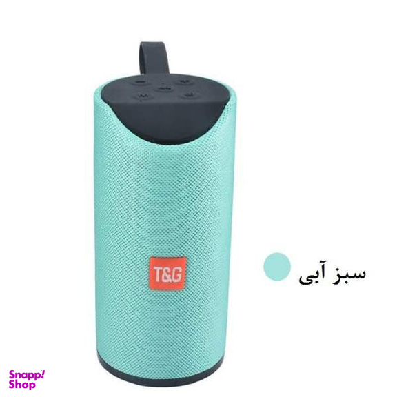 اسپیکر بلوتوثی قابل حمل تی اند جی مدل Tg-113