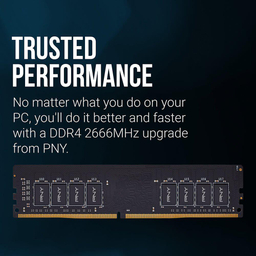 رم 2666 مگاهرتز CL19 پی ان وای (PNY) مدل Performance 8GB Single رنگ مشکی