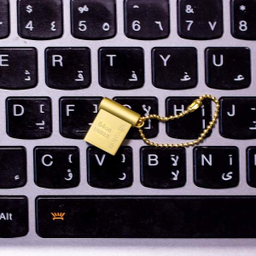 فلش مموری سیبراتون مدل SF2520 ظرفیت 64 گیگابایت