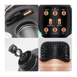 میکروفون اسپیکر وستر (Wester) مدل WS-2911