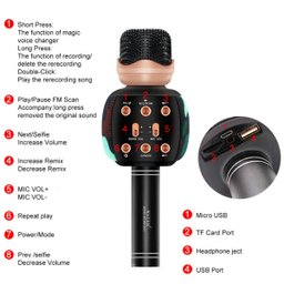 میکروفون اسپیکر وستر (Wester) مدل WS-2911