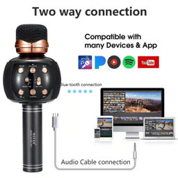 میکروفون اسپیکر وستر (Wester) مدل WS-2911