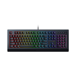 کیبرد گیمینگ ریزر (Razer) مدل Cynosa V2