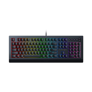 کیبرد گیمینگ ریزر (Razer) مدل Cynosa V2