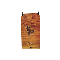 فلش مموری جواهر نشان آیجویر (Ijoyer) مدل فروردین ماه ظرفیت 32 گیگابایت