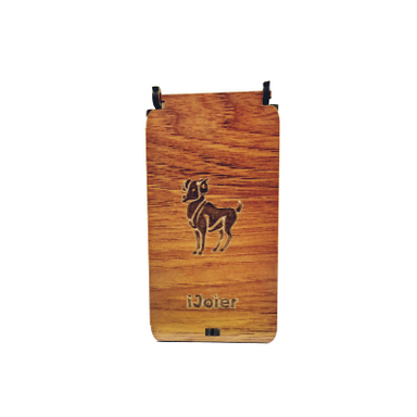 فلش مموری جواهر نشان آیجویر (Ijoyer) مدل فروردین ماه ظرفیت 32 گیگابایت