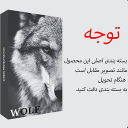 محافظ صفحه نمایش ولف مدل Anti_Static مناسب برای گوشی موبایل اپل Iphone 13 Pro Max