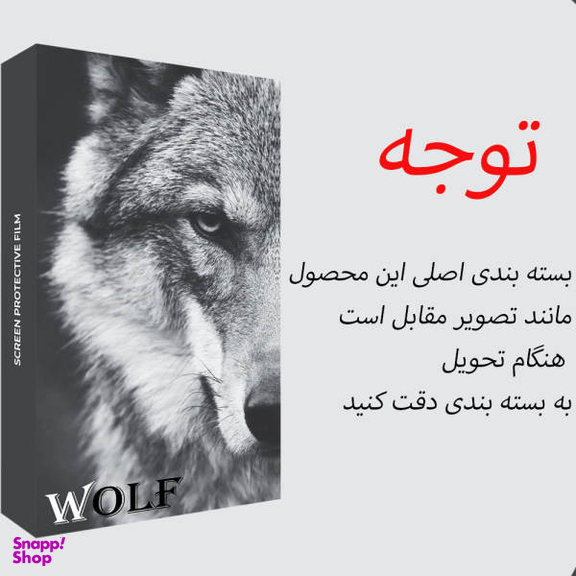 محافظ صفحه نمایش ولف مدل Anti_Static مناسب برای گوشی موبایل اپل Iphone 13 Pro Max