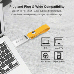 فلش مموری کداک (Kodak) K123 ظرفیت 32 گیگابایت