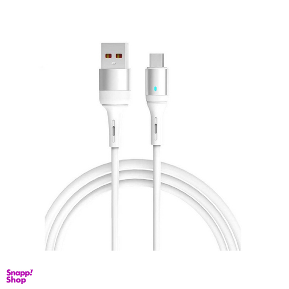 کابل تبدیل USB به Type-C اسکای دلفین مدل SFPS06T طول 1 متر