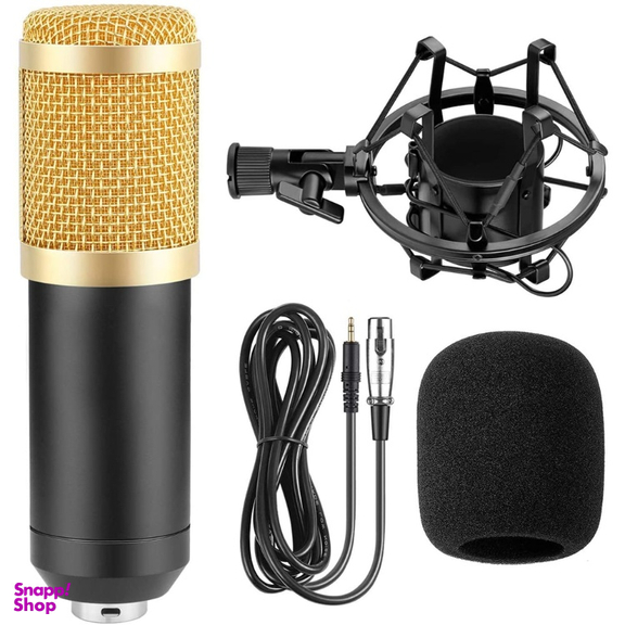 میکروفون استودیویی مدل Legendary Vocal به همراه پایه تلسکوپی و پاپ فیلتر و کارت صدا