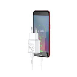 شارژر دیواری هوکو مدل C88A به همراه کابل MICROUSB