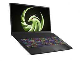 لپ تاپ 17 اینچ ام اس آی (MSI) مدل Bravo 17 A4DDRRyzen7-4800H ظرفیت 1TB SSD رم 16GB گرافیک 4GB RX5500M