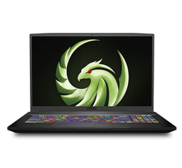 لپ تاپ 17 اینچ ام اس آی (MSI) مدل Bravo 17 A4DDRRyzen7-4800H ظرفیت 1TB SSD رم 16GB گرافیک 4GB RX5500M