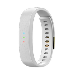 مچ بند هوشمند ریزر (Razer) مدل NABU X