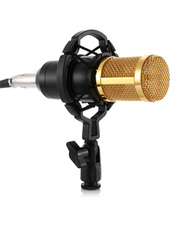 میکروفن کندانسر مدل Professional Condenser Microphone همراه با پایه تلسکوپی و پاپ فیلتر