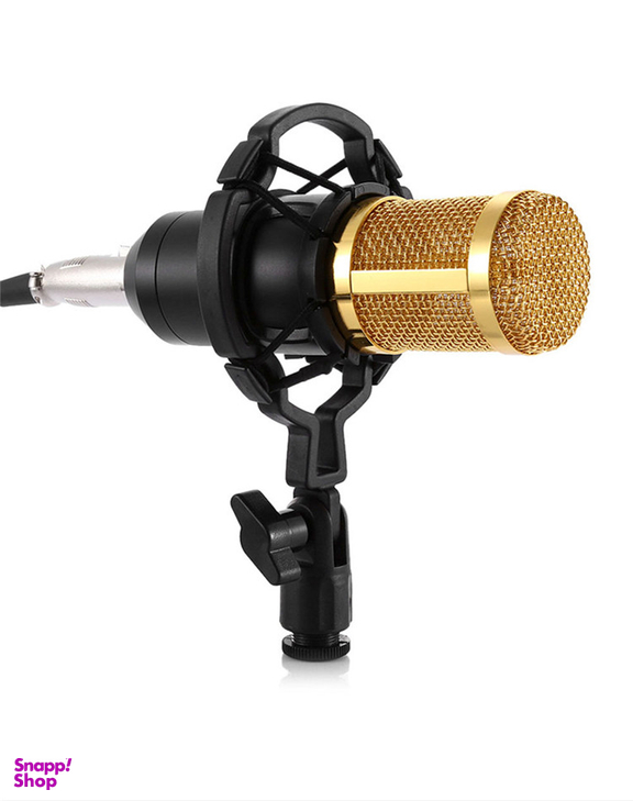 میکروفن کندانسر مدل Professional Condenser Microphone همراه با پایه تلسکوپی و پاپ فیلتر