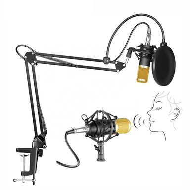 میکروفن کندانسر مدل Professional Condenser Microphone همراه با پایه تلسکوپی و پاپ فیلتر