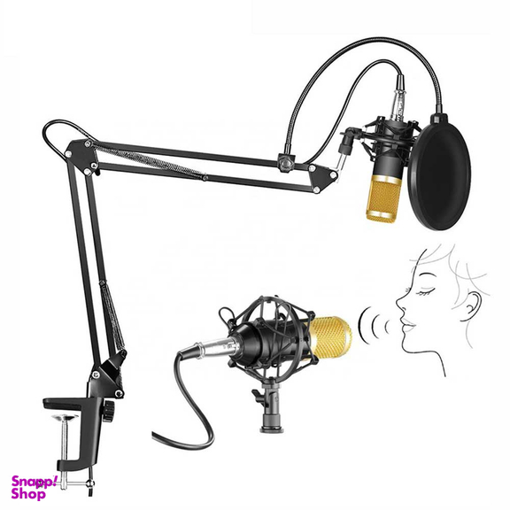 میکروفن کندانسر مدل Professional Condenser Microphone همراه با پایه تلسکوپی و پاپ فیلتر