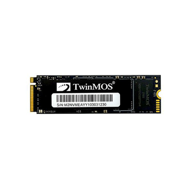 حافظه SSD اینترنال توین موس (TwinMOS) مدل M.2 ظرفیت 256 گیگابایت