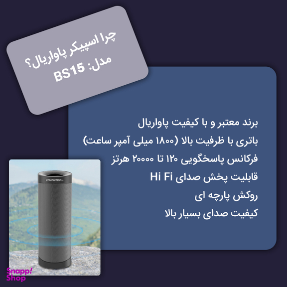 اسپیکر بلوتوثی قابل حمل پاواریال (Pavareal) مدل BS15