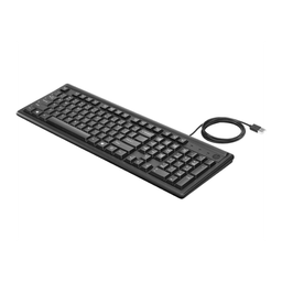 کیبورد باسیم ای او سی (AOC) مدل KB161