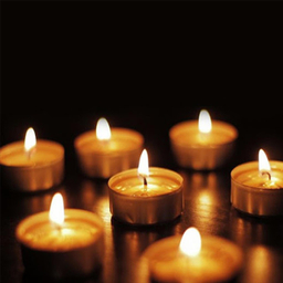شمع وارمر رویا کندل (Roya Candle) کد 50 بسته 50 عددی