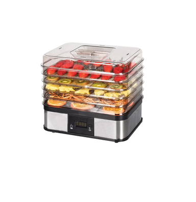میوه خشک کن دلمونتی DL-190