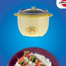 پلوپز پارس خزر مدل RC181TSP Candoj