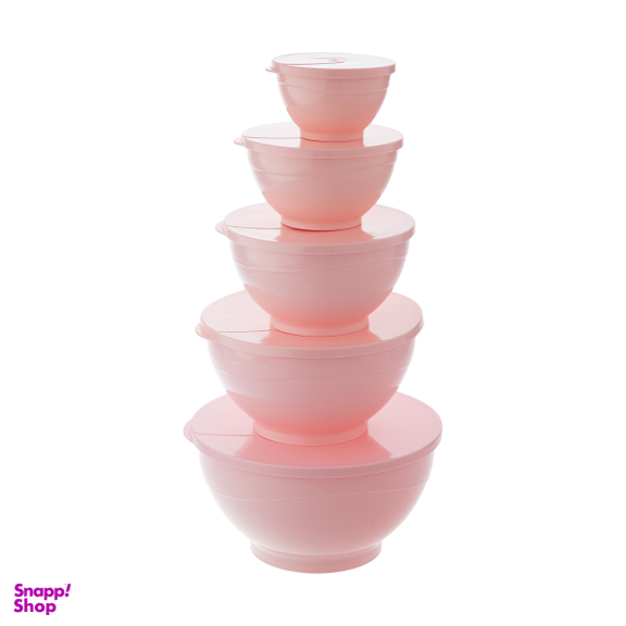 ظرف نگهدارنده وینتج مدل VNIO49 مجموعه 5 عددی