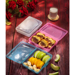 ظرف نگهدارنده وینتج مدل مانیل