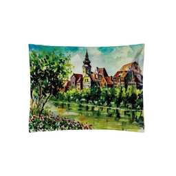 روبالشی رنس مدل P1-20039 سایز 50x70 چند رنگ