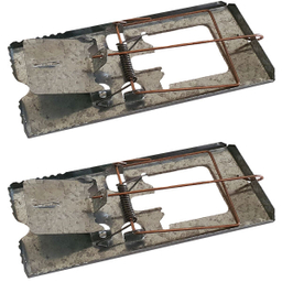 تله موش مدل NO.1 بسته 2 عددی