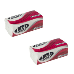 دستمال کاغذی 250 برگ پاپیا مدل اقتصادی بسته 2 عددی