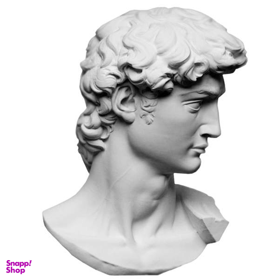 مجسمه طرح داوود مدل x1003