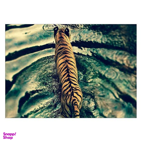 تابلو شاسی ونسونی طرح Tiger Peacful Swim سایز 30x40 سانتی متر