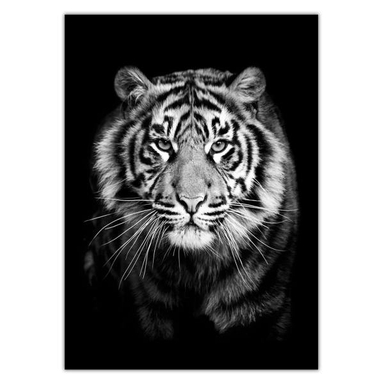 تابلو شاسی ونسونی طرح Stalwart Tiger سایز 50x70 سانتی متر