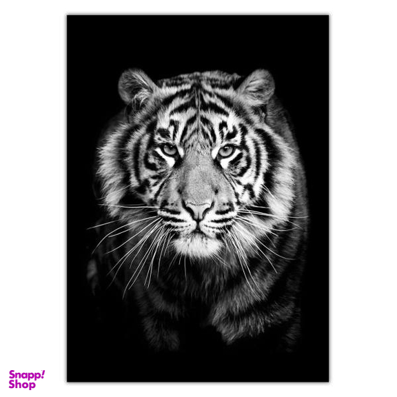 تابلو شاسی ونسونی طرح Stalwart Tiger سایز 50x70 سانتی متر